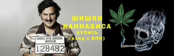 амф Сосновый Бор